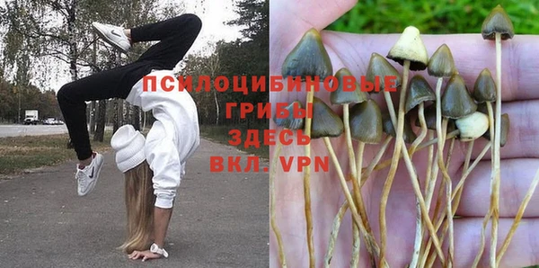 дурь Арсеньев