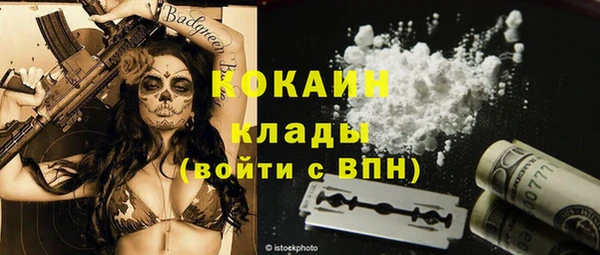 дурь Арсеньев