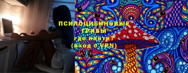 дурь Арсеньев