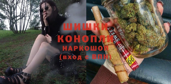 дурь Арсеньев